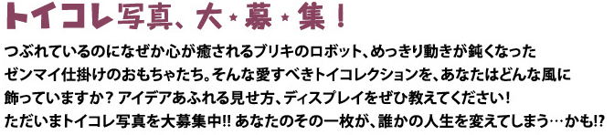 トイコレ写真、大★募★集！